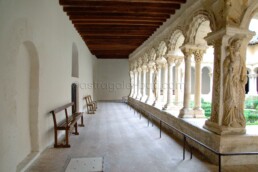 Astragale Cathédrale d'Aix en Provence - Cloître